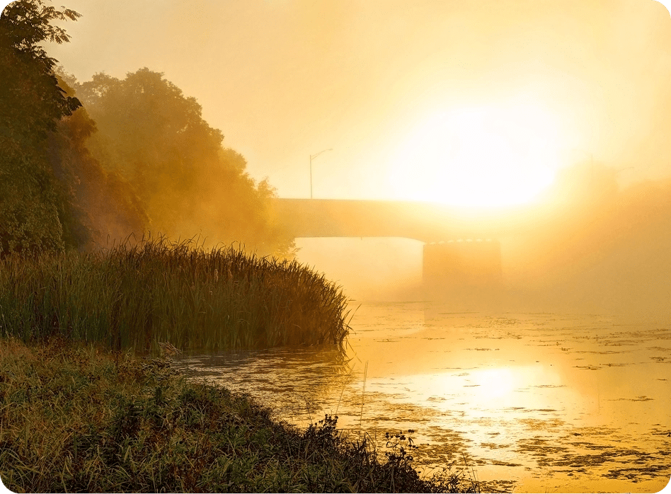 Sunrise over misty lake with reeds.